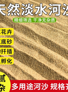 天然河沙粗沙细沙拌土垫底铺面扦插育苗养花专用河沙多肉种植