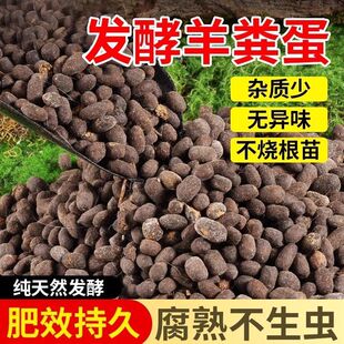 羊粪发酵有机肥颗粒羊粪蛋纯羊粪发酵颗粒高温腐熟种菜专用羊粪肥