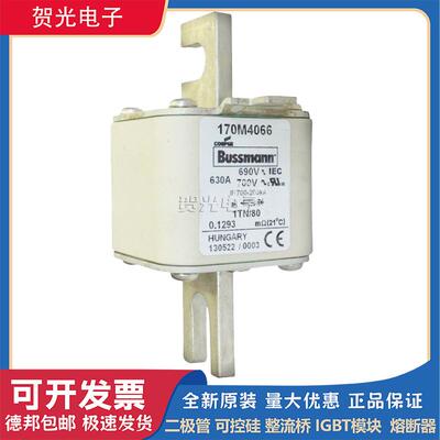 巴斯曼快速熔断器保险170M4063/4064/4065/4066/4067/4068/4069