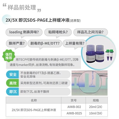 亲和生命变性聚丙烯酰胺凝胶电泳即沉loading buffer无毒不漂样