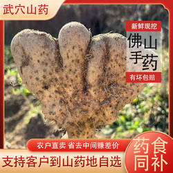 新鲜山药5斤灵芝野生手掌广济梅川农家现挖山药湖北武穴佛手山药