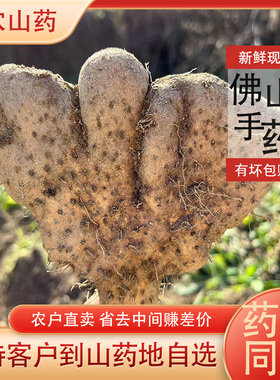 新鲜山药5斤灵芝野生手掌广济梅川农家现挖山药湖北武穴佛手山药