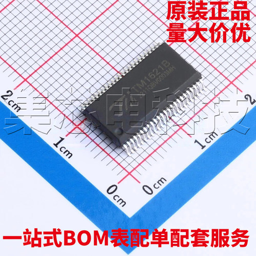 TM1621BSSOP-48原装芯片