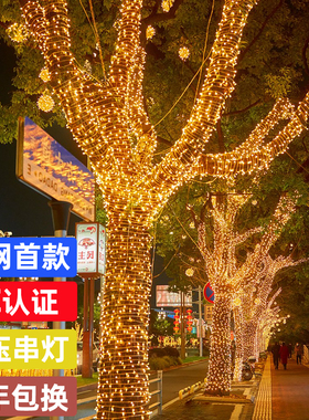 树灯景观灯24V低压彩灯满天星led灯串户外庭院装饰亮化绕树缠树灯