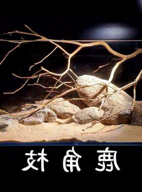 。鹿角枝杜鹃枝沉木原生南美鱼缸造景枯木软装天然树枝插花壁挂摆