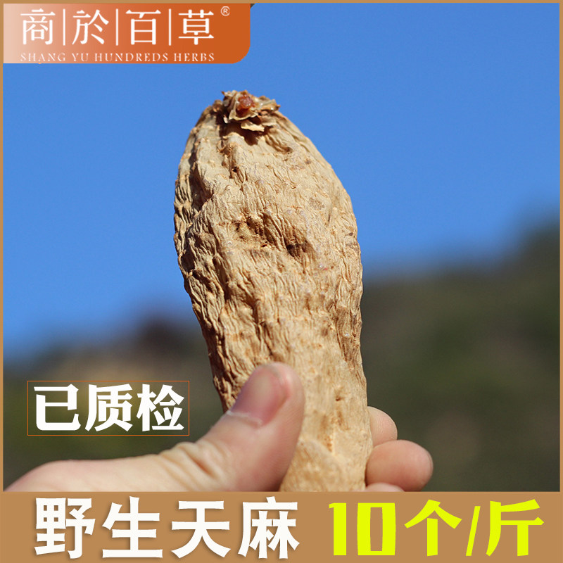野生天麻干货 正品秦岭野生天麻个 特级无硫特级 非昭通天麻500g