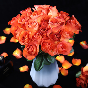 咖啡时间玫瑰鲜花云南基地花卉直发四季好养斗南花市速递水养花束