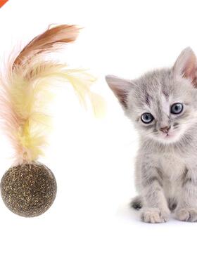 Nature Kitten Cat Feature Toy Teeth Cleaning Cat Catnip all