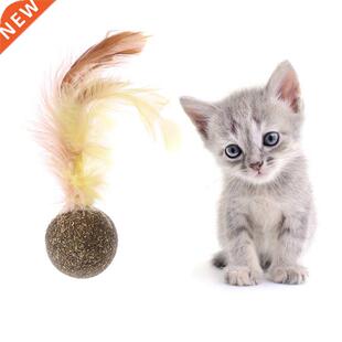 Nature Kitten Cat Feature Toy Teeth Cleaning Cat Catnip all