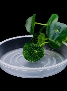1 pcs Plastic Garden Flower Pot Plant Saucers Water Tray Bas