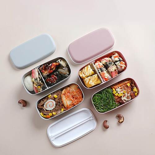 Sealed Leak-proof Bento Lunch Box For Kids Double Layer Inde