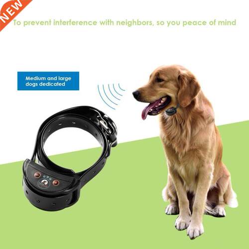 Collier de contr?le automatique pour chien | Chien de compag