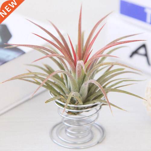 Hot Sell Metal Spring Air Plant Holder Hanging Rack Stand Co