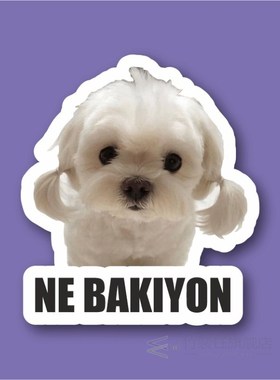 What Bak?yon Laptop and Phone Sticker-Decal max.8cm