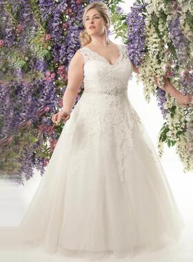 Elegant V-neck Plus Size Wedding Dresses Vestidos de Noivas