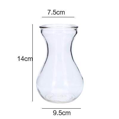 *Hydroponic Plants Vase Simple Creative Glass Vase Home Deco