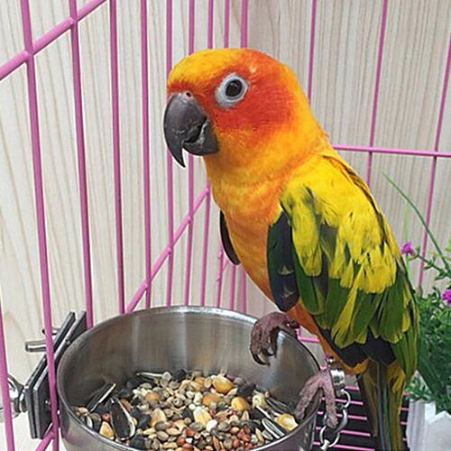 Stainless Steel Bird Feed Box Parrot Cups Bowls Container