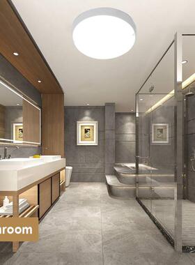 Bathroom Led Ceiling Lights Waterproof Ceiling lamp AC 220V