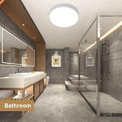 Bathroom Led Ceiling Lights Waterproof Ceiling lamp AC 220V