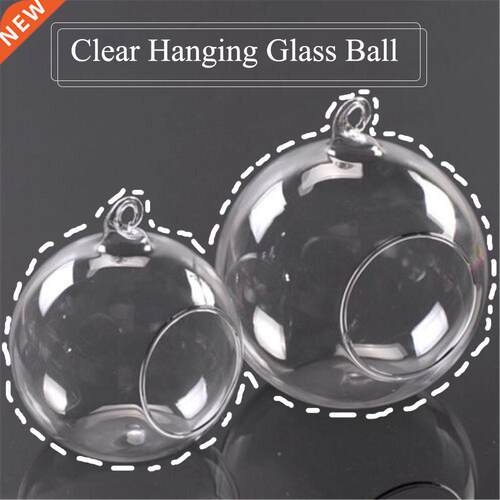 Clear Hanging Ball Creative Glass Flowerpot Office Garden De
