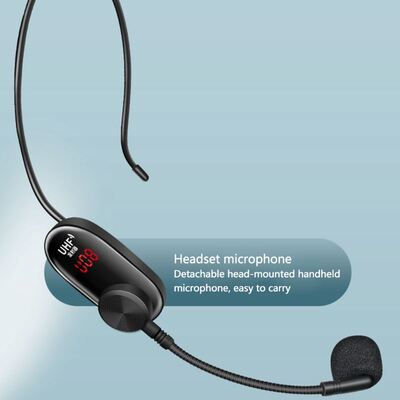 Portable Lavalier Microphone System for Videos Interview Liv