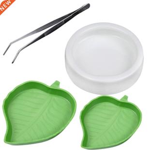 Tortoise Easy Clean With Tweezer Ceramics Plastic Crawl Pet