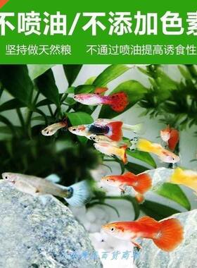 guppy feed betta fish food small tropical fish goldfish ta