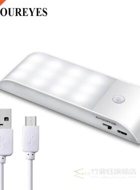 Under Cabinet Lights Kitchen Lighting IR Motion Sensor 12LED