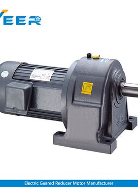 Medium (Shaft: 40mm) AC Electric Gear Motor (Horizontal/Ver