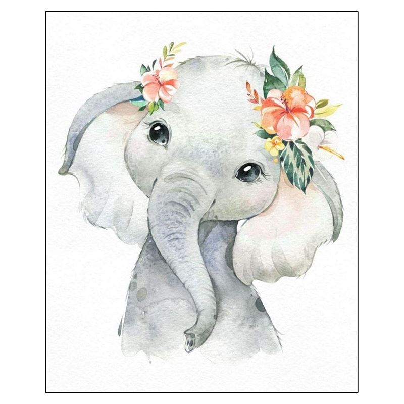 Paint By Numbers for Adults Kids Flowers Baby Elephant D