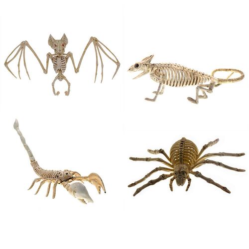 Halloween Animal Skeletons Statues Scary Bat Lizard