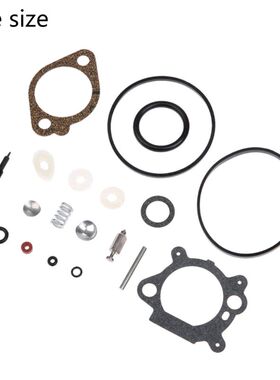 Carburetor Rebuild Kit for Quantum 492495 493762 498260