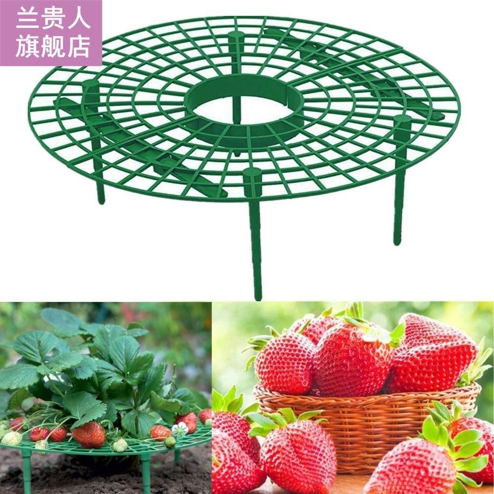 5 PCS Strawberry Stand Frame Holder Balcony Planting Rack Fr