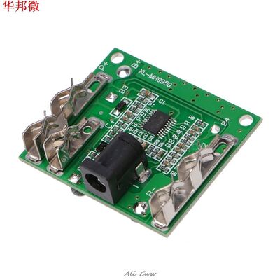 Carte de Protection de charge de batterie de paquet de batte