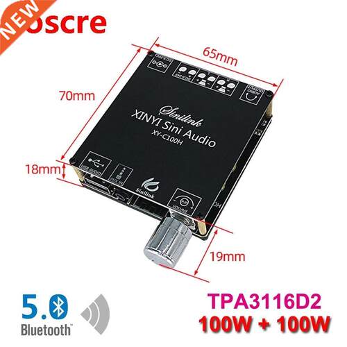 2*100W Dual TPA3116D2 Bluetooth 5.0 HiFi Stereo Audio Digita