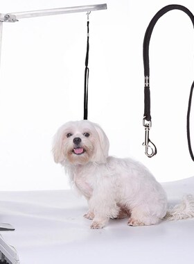 1pc Durable Dog Leash Nylon Pet Noose Loop Lock Clip Rope Ha