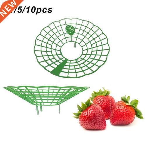 Strawberry Stand Frame Holder Balcony Planting Rack Fruit Su