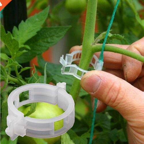 50PCS/Set Reusable Plastic Plant Support Clips Plants Hangin