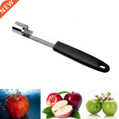 Dissolvant de graines de its | En acier inoxydable, outil