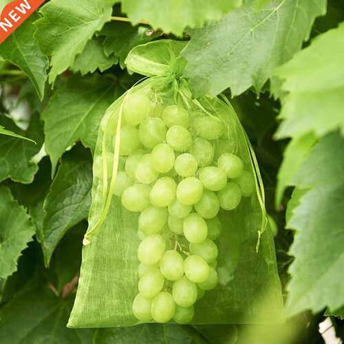 100pcs Garden Ant-Brd Bags Vegetable Frut Grow Nettng Ba