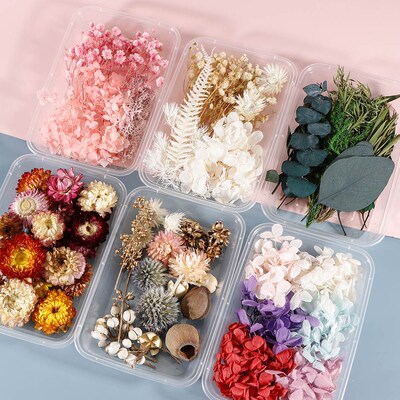 1 Box Colorful Real Dried Flower Plant For Aromatherapy Cand