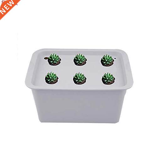 Kit de culture de semis de plantes 110V | 6 trous, Pots de p