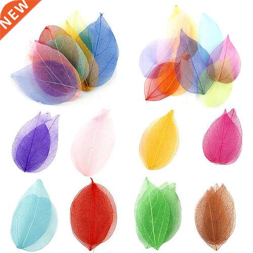 20pcs/Set Natural skeleton Leaf Vein Dried  Handmade Mate