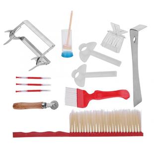12Pcs Beekeeping Tools Kit Stainless Steel Tool Bee Brush Ex