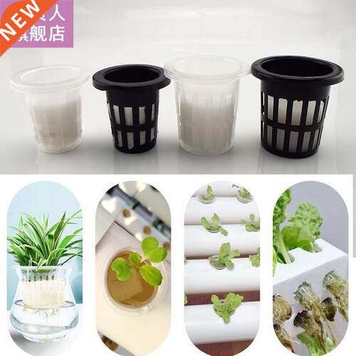 Plant Grow Nursery Mesh Cup pot with sponge Netcolonization