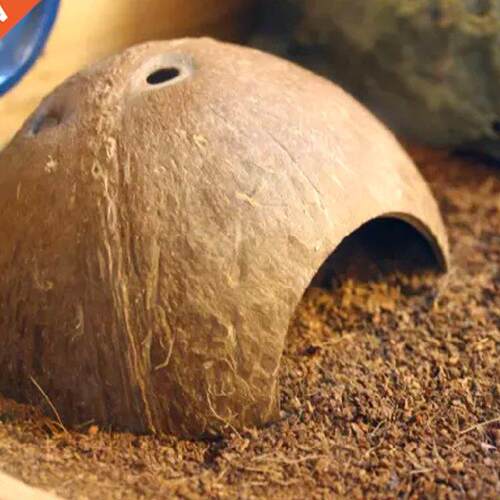 Reptile Hide Habitat Shell for Lizard Small Animal Cave Hous