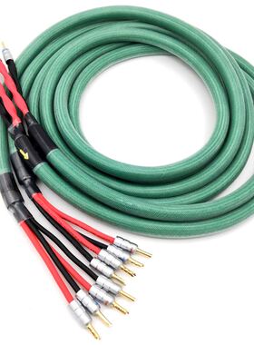 Mcintosh HiFi 4N OFC Copper Silver Plated Speaker Cable Biwi