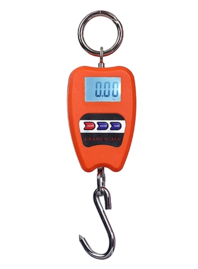 Crane Scale 200kg/50g Digital Hanging Scale Industrial Hangi