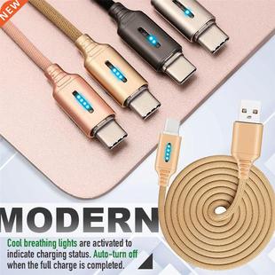 USB C Cable Type-C Charger 2.4A Fast Charging Nylon Cable Fo
