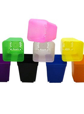 Candy color Flower Pots Fleshy Plants pot trays Plastic